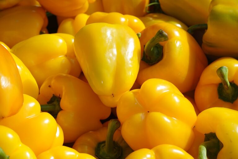 paprika, yellow, vegetables-318208.jpg